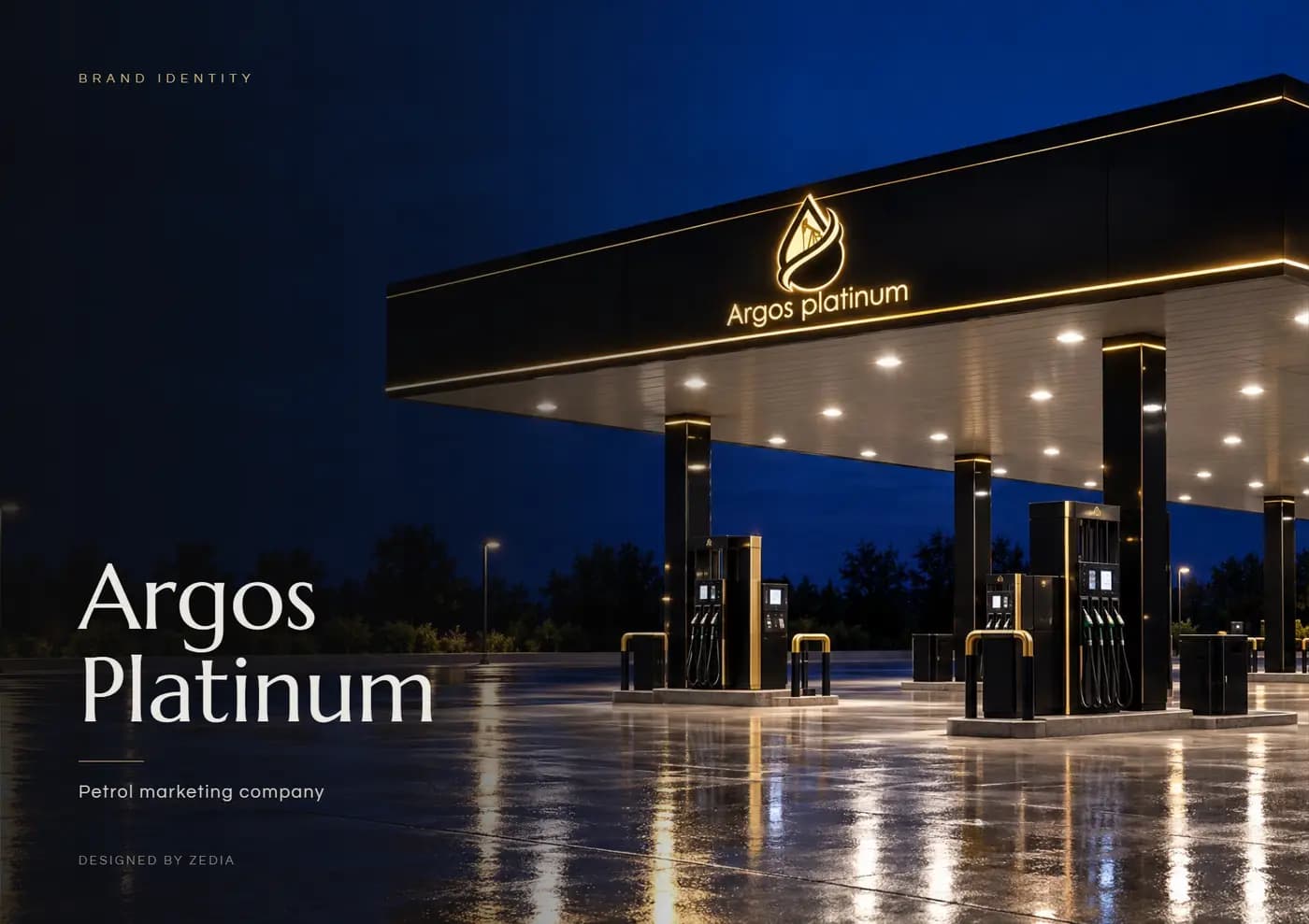 Argos Platinum brand book — page 1 of 8