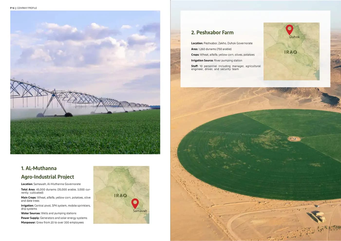 Ardh Al Marabea brand book — page 7 of 34