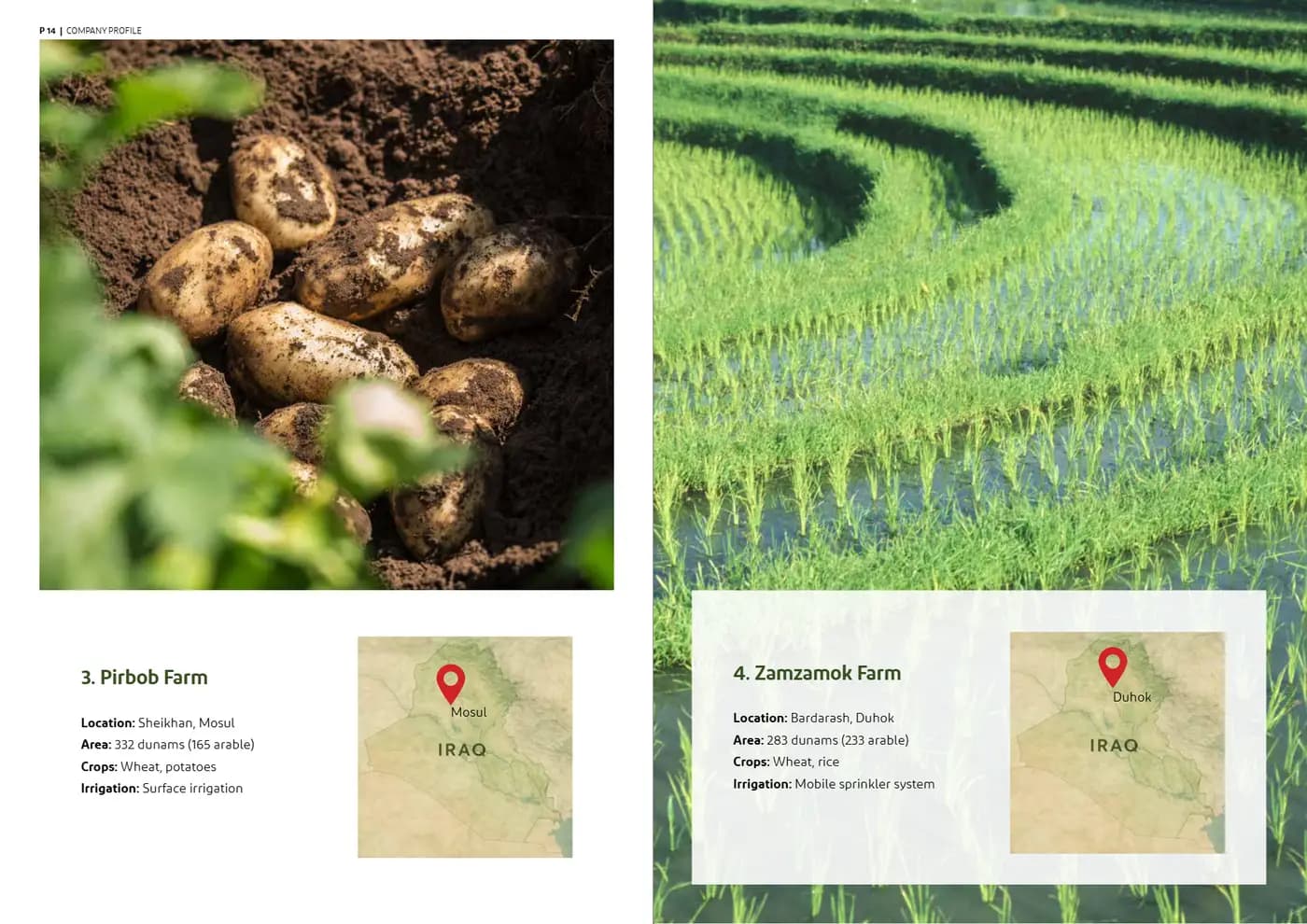 Ardh Al Marabea brand book — page 8 of 34
