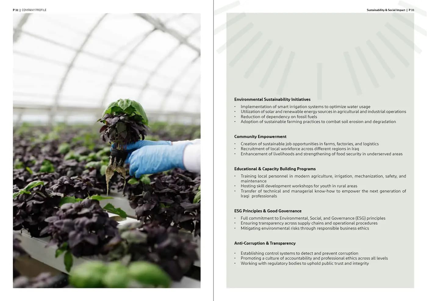 Ardh Al Marabea brand book — page 17 of 34