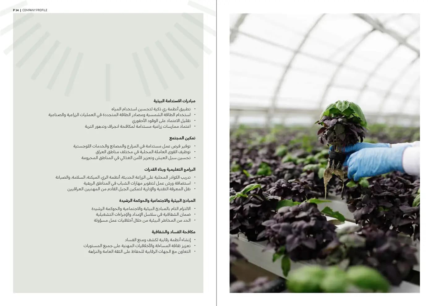 Ardh Al Marabea brand book — page 18 of 34