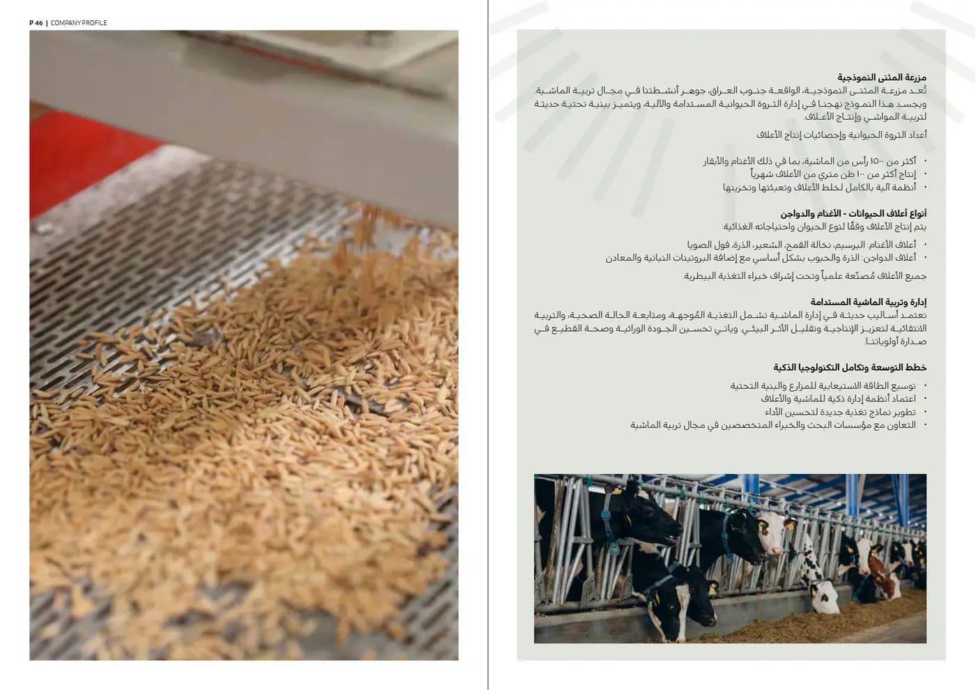 Ardh Al Marabea brand book — page 24 of 34