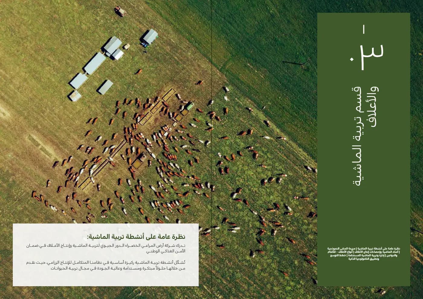 Ardh Al Marabea brand book — page 25 of 34