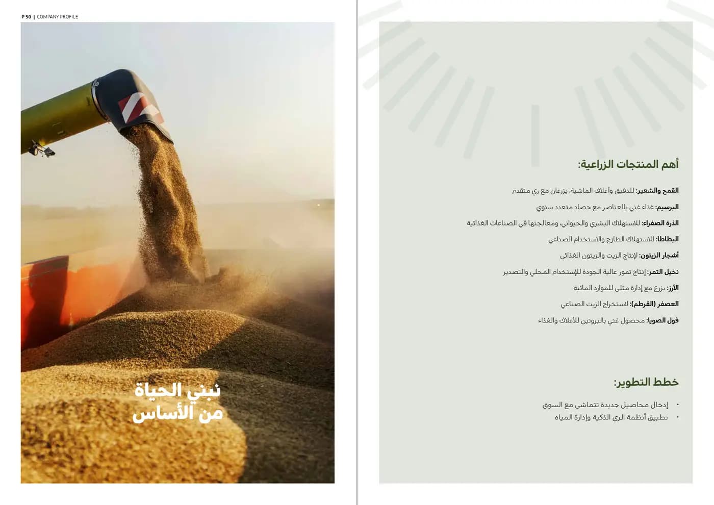 Ardh Al Marabea brand book — page 26 of 34