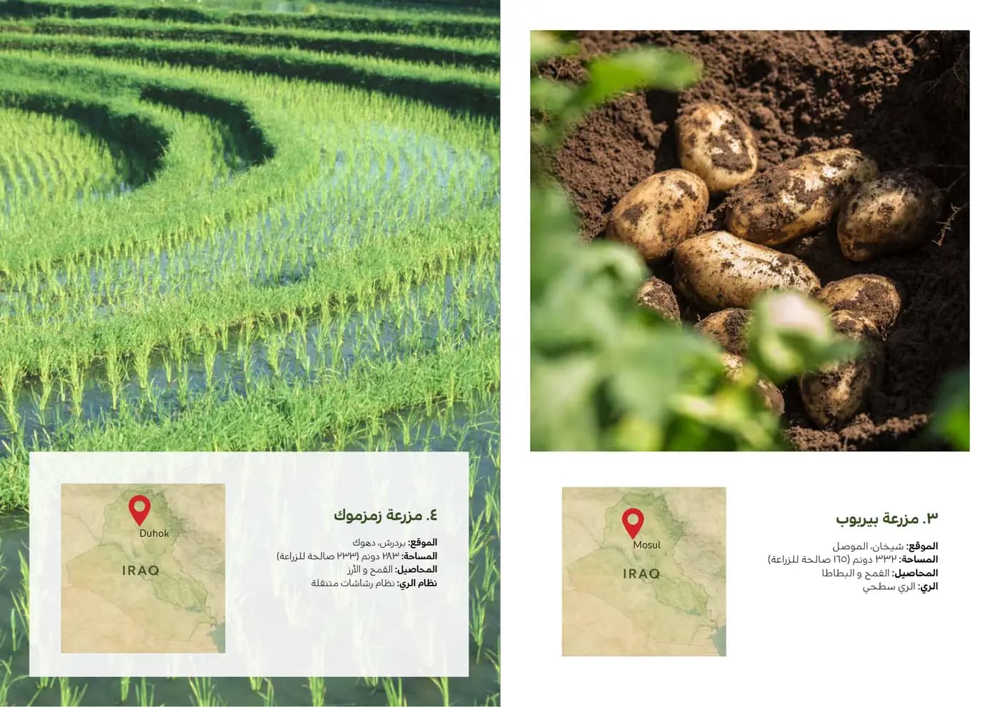 Ardh Al Marabea brand book — page 27 of 34