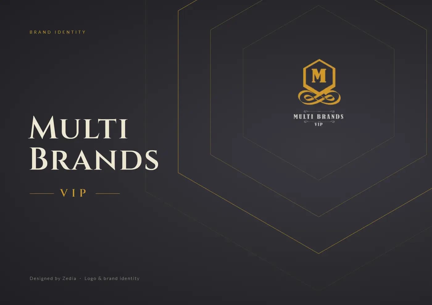 Multi Brands VIP brand book — page 1 of 6