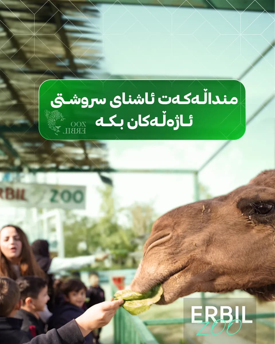 Erbil Zoo social media post 6