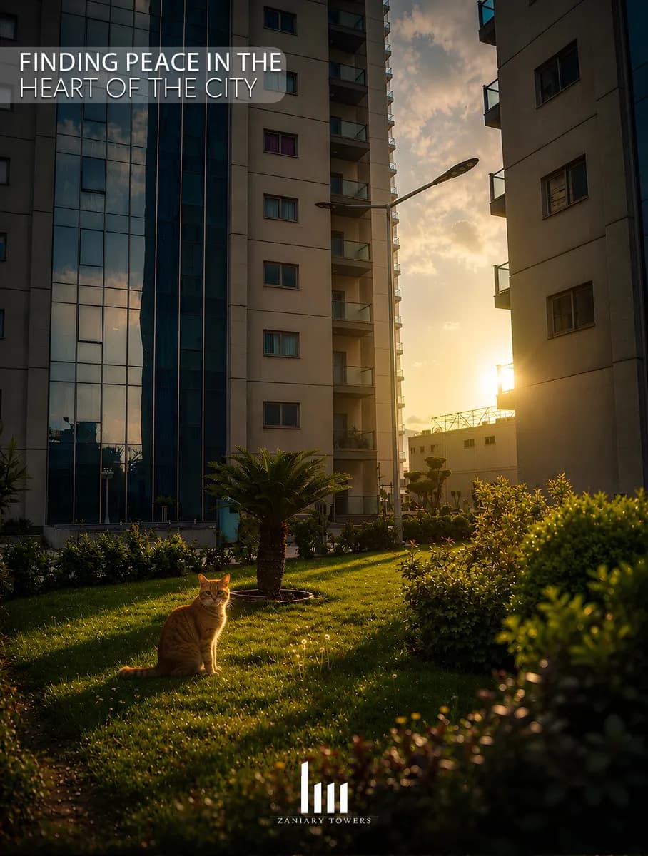 Zanyari Towers social media post 9
